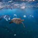La barge anti-plastiques