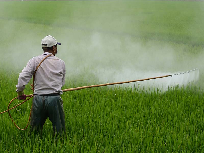 pesticides risques sur la santé