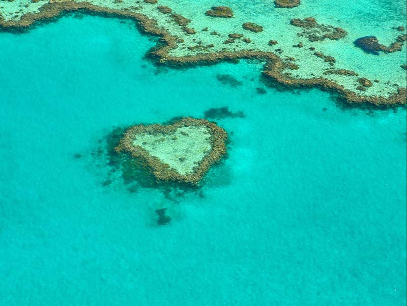 lutte contre la pollution des océans