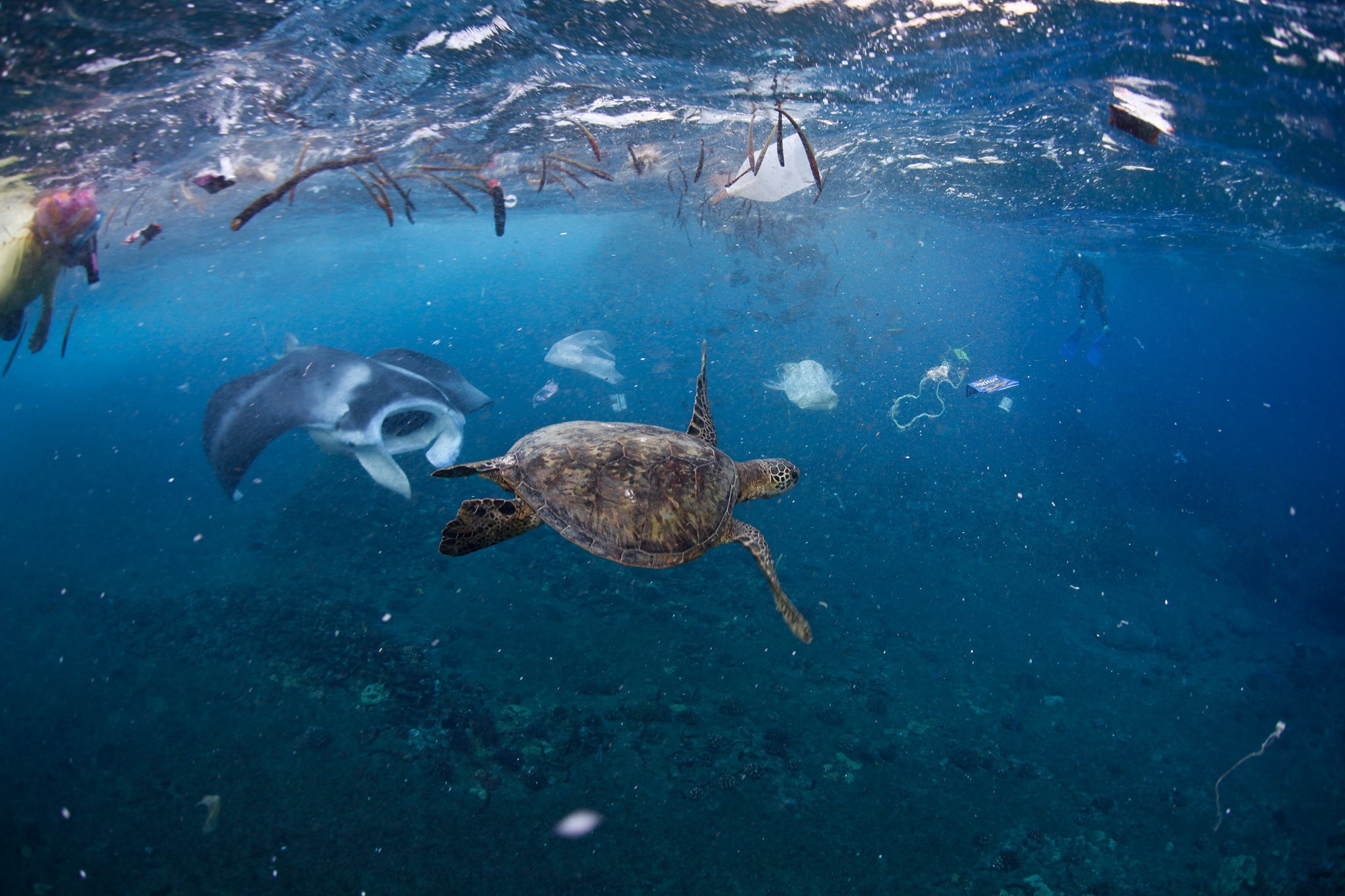 La barge anti-plastiques