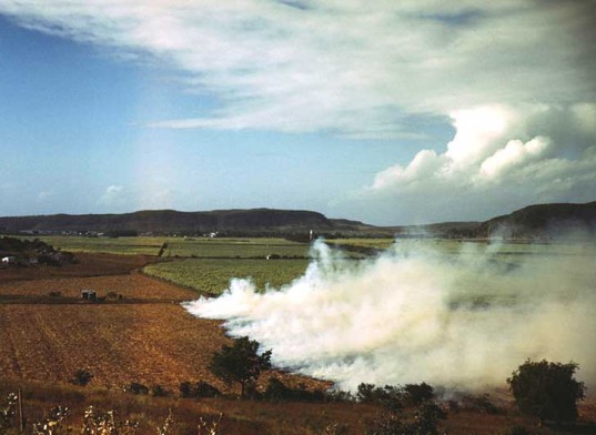 agriculture-pollution-atmosphérique