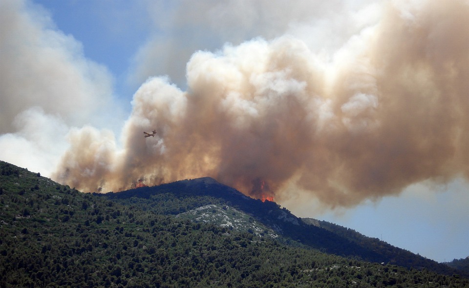 incendie-foret