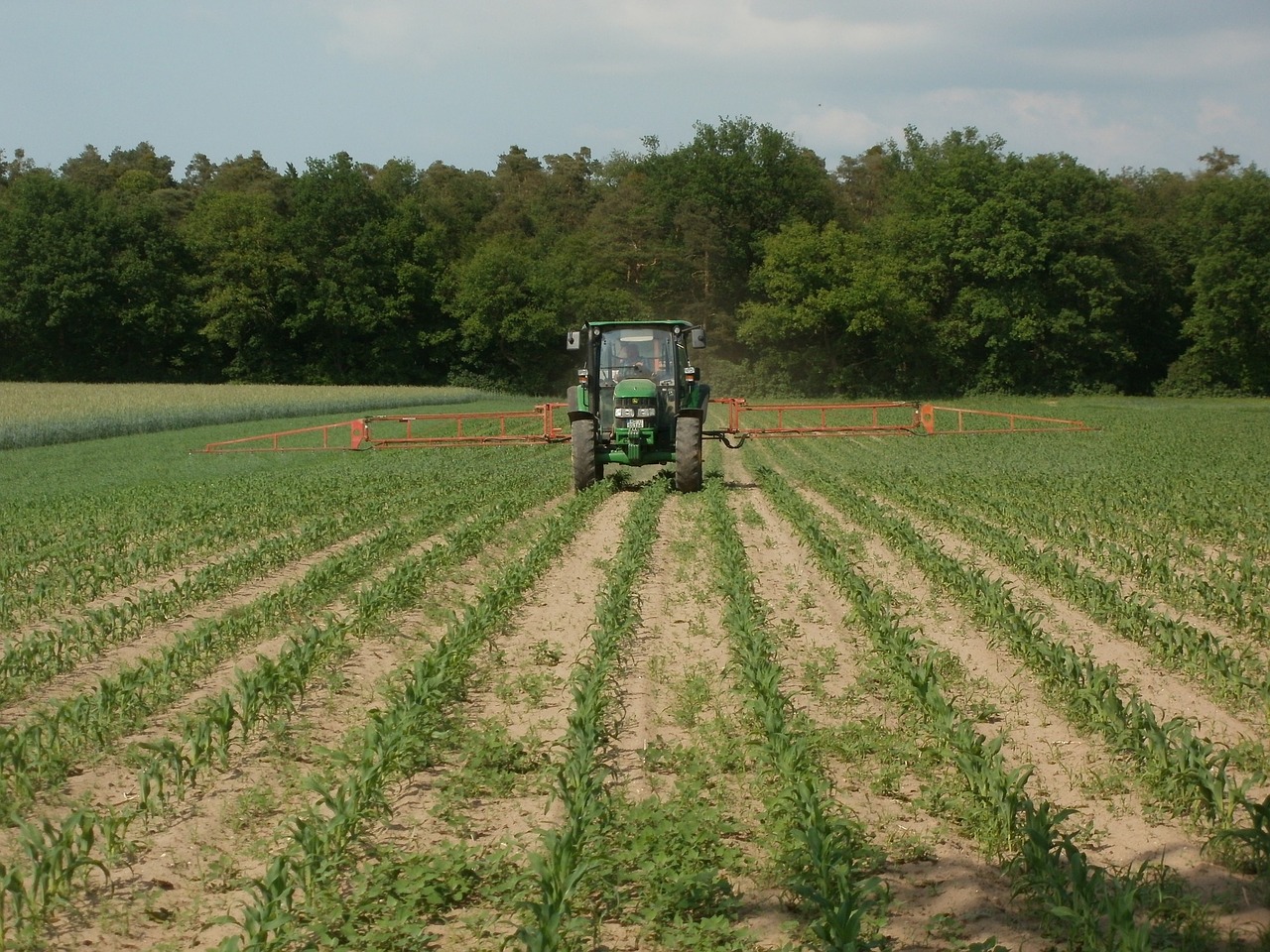 monoculture-agriculture-france