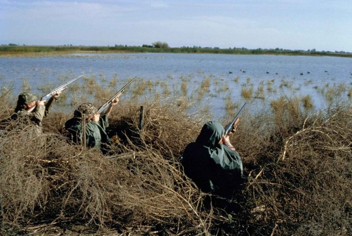 chasseurs-ompe