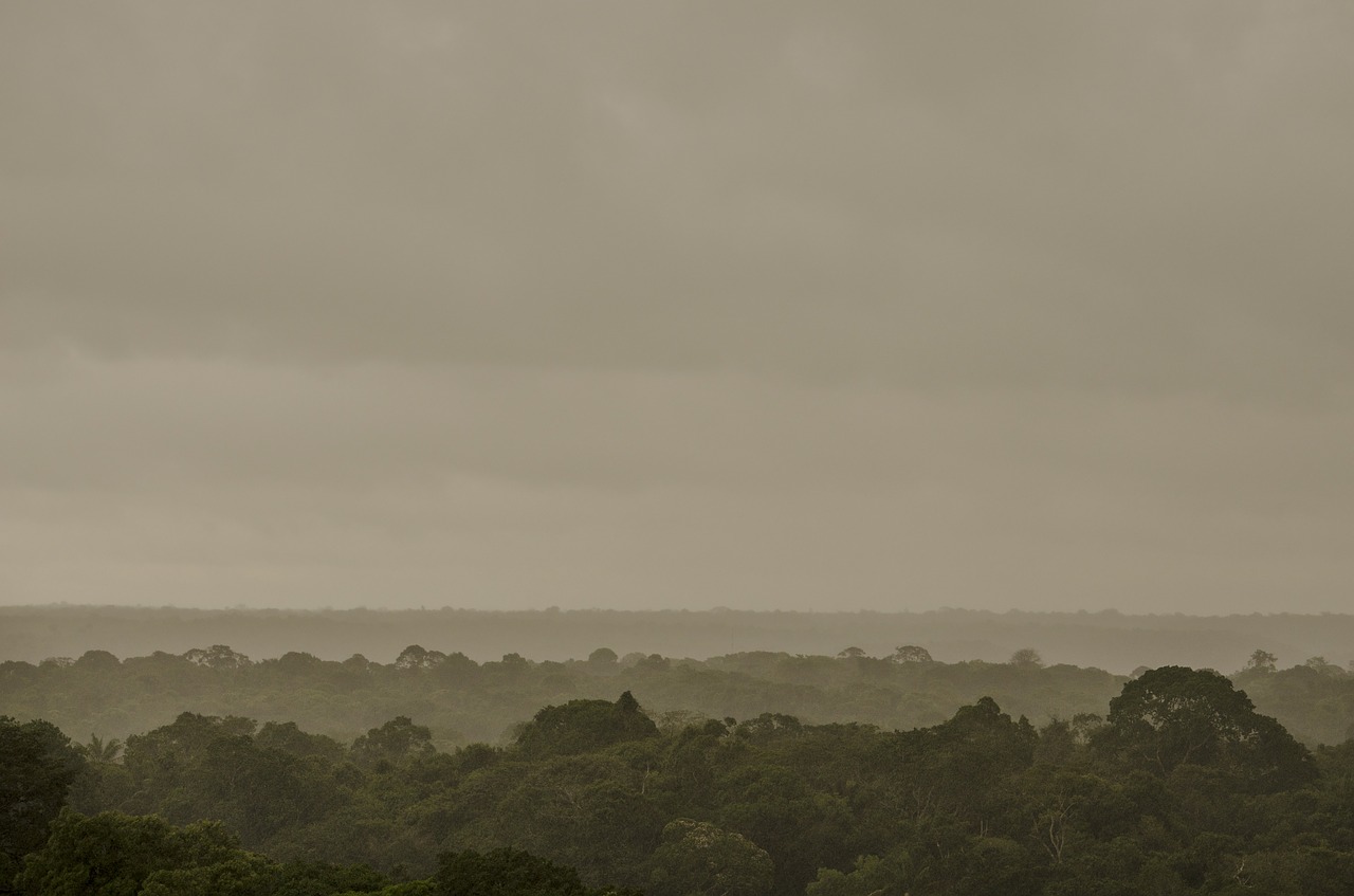 amazonie-deforestation-ompe