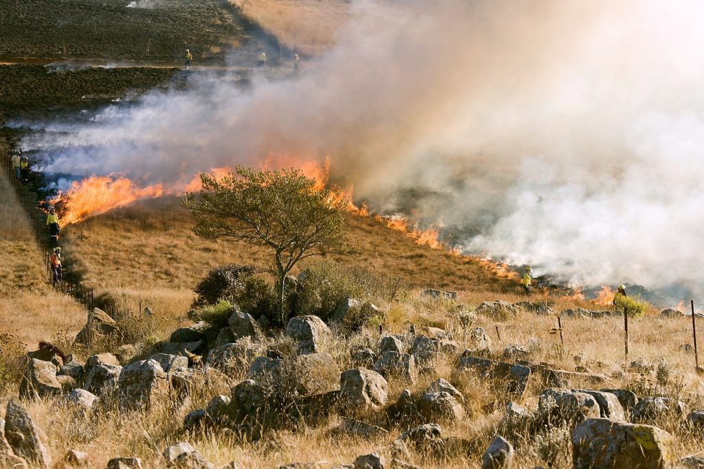 incendies-ete-2019-ompe