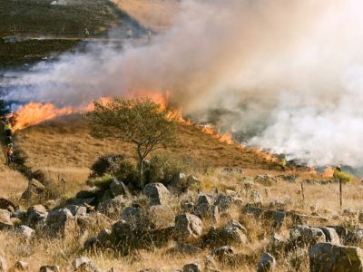 incendies-ete-2019-ompe