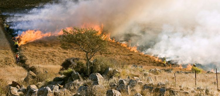 incendies-ete-2019-ompe