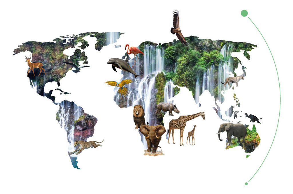 5- Charles Darwin Parks | OMPE | Organisation Mondiale pour la Protection  de l'Environnement