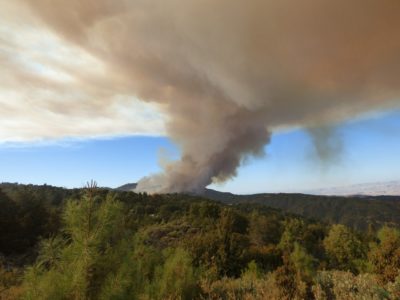 impacts-sanitaires-feux-de-forets