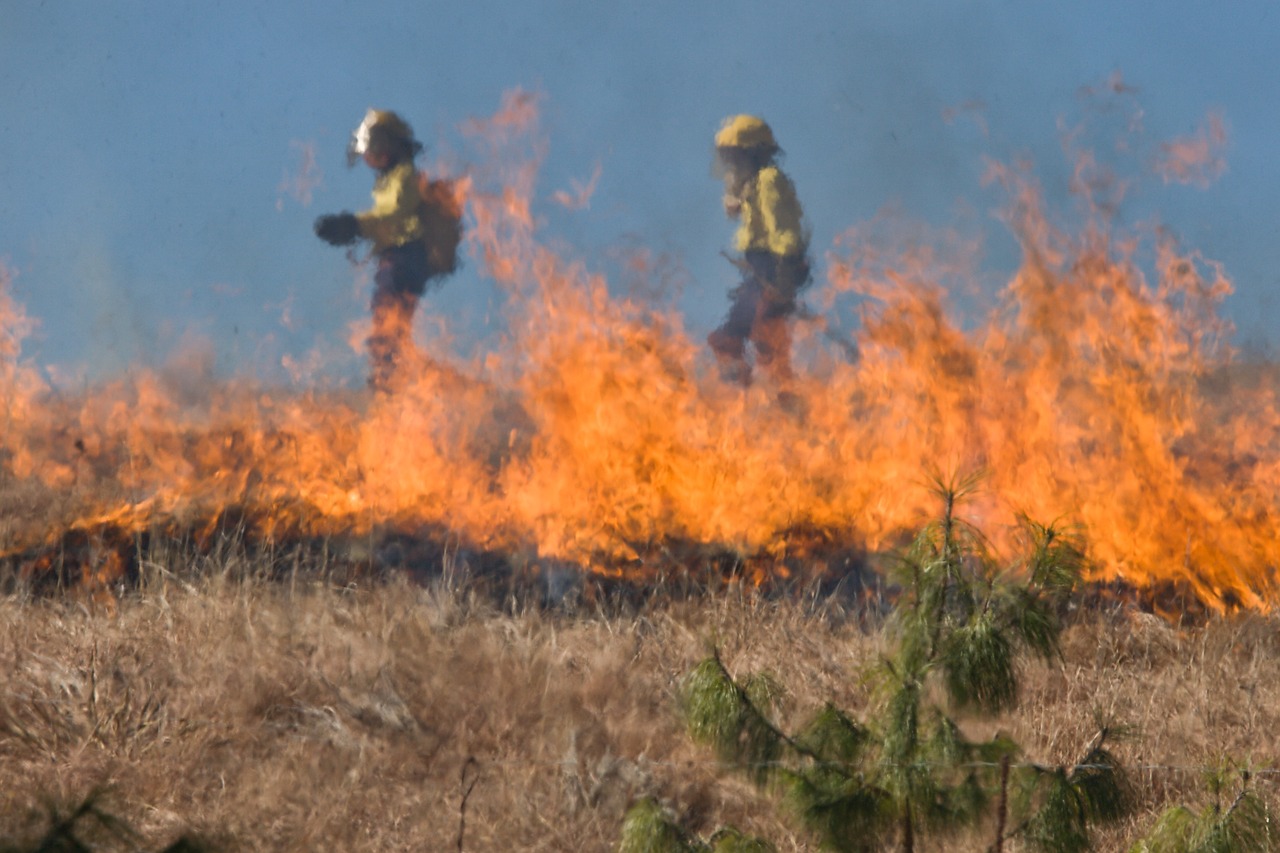 incendies-californie