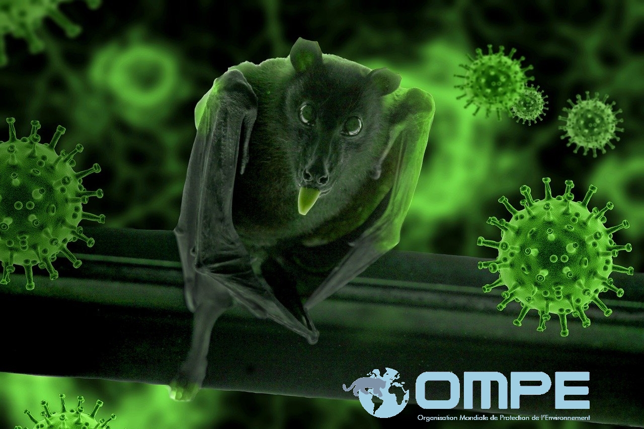 OMPE - 9- Viruses